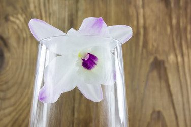 Similar image 7904518