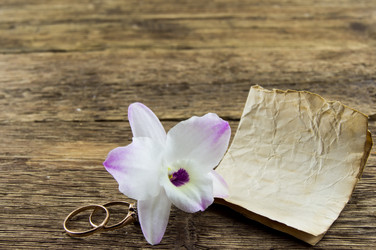 Similar image 7904521