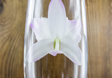 Similar image 7904524