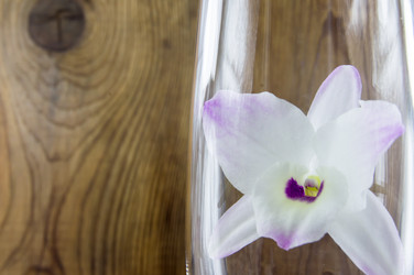 Similar image 7904531