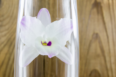 Similar image 7904539