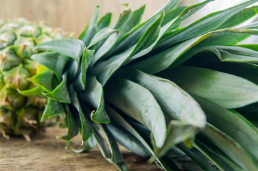 Similar image 7904543