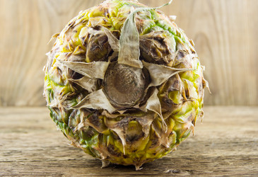 Similar image 7904545