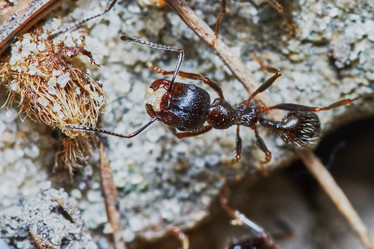 Similar image 7904548