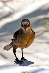 Similar image 7904588