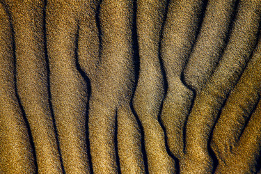 Similar image 7904592