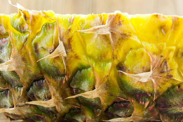 Similar image 7904652