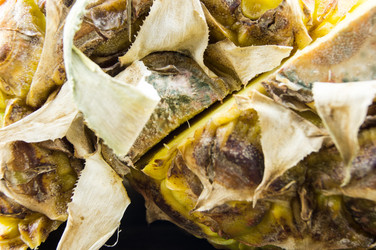 Similar image 7904654