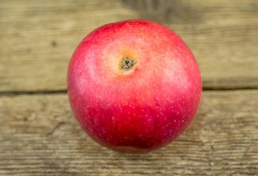 Similar image 7904729