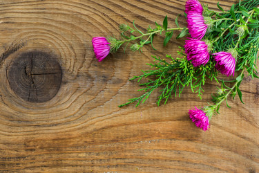 Similar image 7904779