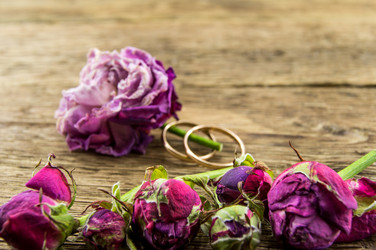 Similar image 7904813