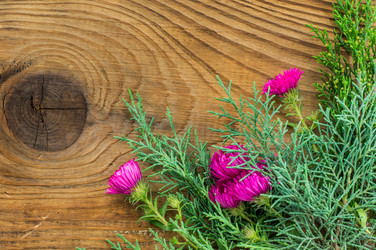 Similar image 7904820