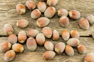 Similar image 7904829