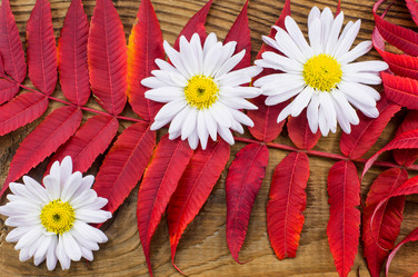 Similar image 7904833