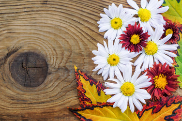 Similar image 7904848