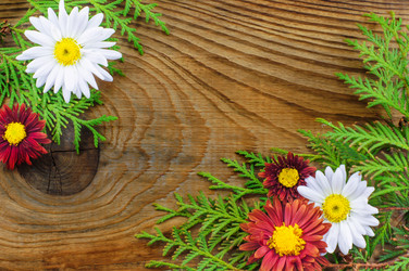 Similar image 7904854