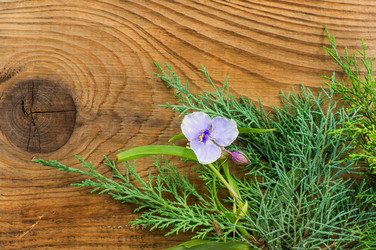 Similar image 7904867