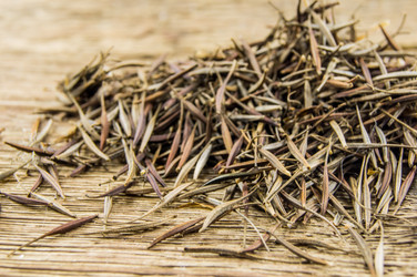 Similar image 7904871