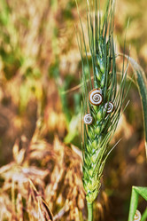 Similar image 7904892