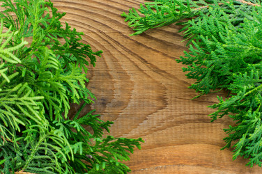 Similar image 7904929