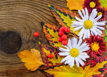 Similar image 7904942