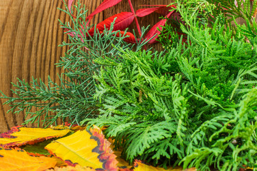 Similar image 7904944