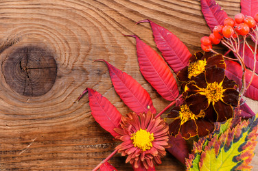 Similar image 7904948