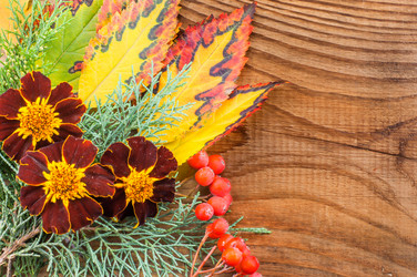 Similar image 7904949