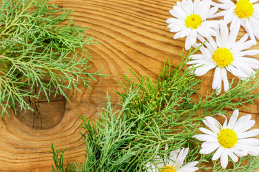 Similar image 7904950