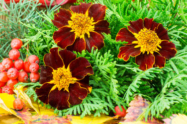 Similar image 7904951