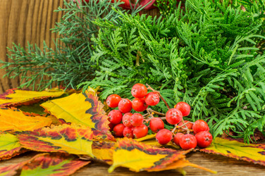 Similar image 7904954