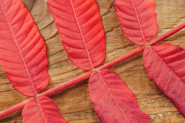 Similar image 7904955