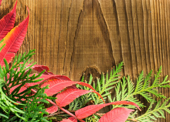 Similar image 7904959