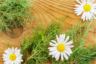 Similar image 7904961