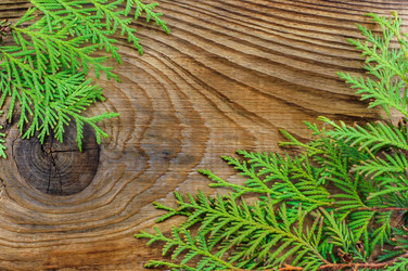 Similar image 7904963