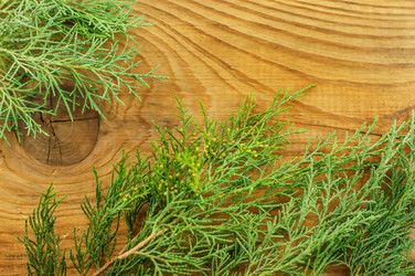 Similar image 7904974