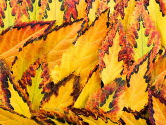 Similar image 7904975