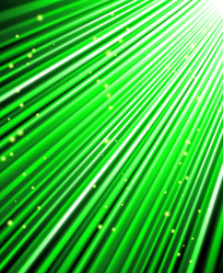 Similar image 7905295