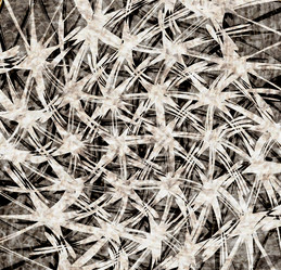 Similar image 7905763