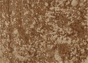 Similar image 7905842