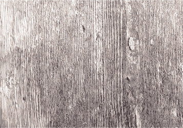 Similar image 7905844