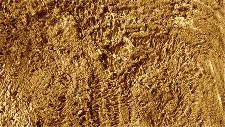 Similar image 7905848