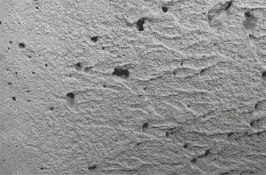 Similar image 7905852