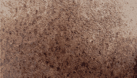 Similar image 7905900