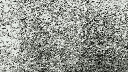 Similar image 7905902