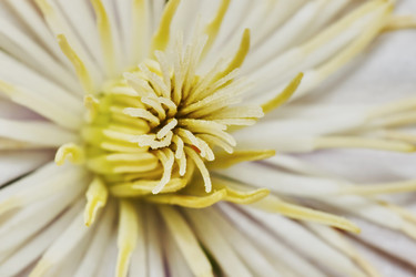 Similar image 7906082