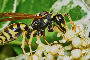 Similar image 7906090