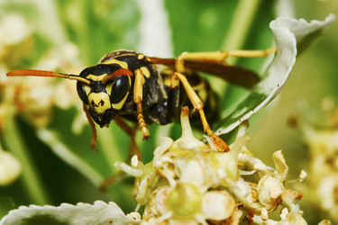 Similar image 7906092