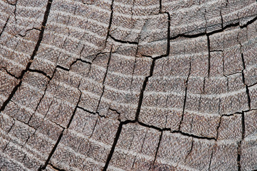 Similar image 7906143