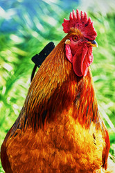 Similar image 7906173